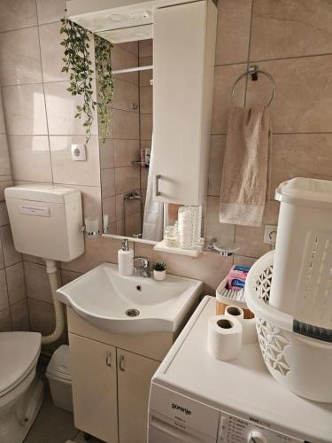a bathroom with a sink and a toilet and a mirror at TIHA VODA 4 in Požarevac