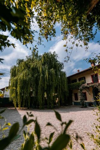 a weeping willow tree in front of a building at Le Suite di Borgo Casa Scaparone in Biglini
