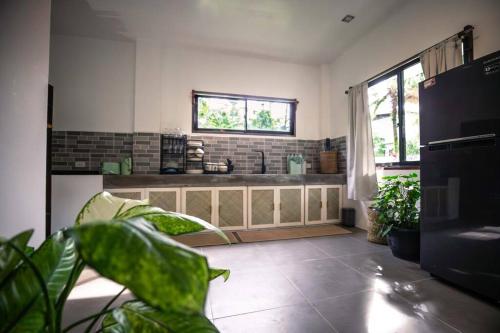 a kitchen with a sink and some plants in a room at Watergate Villa- Siargao Island in General Luna