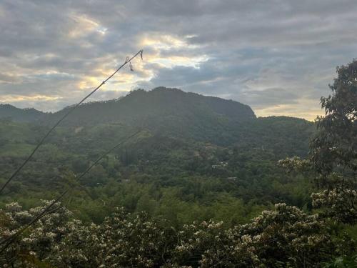 Un paisaje natural cerca de la casa vacacional