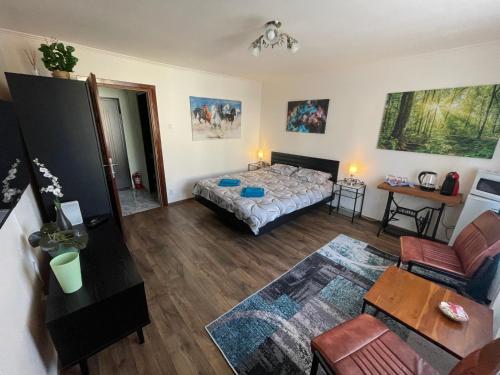 Ένα ή περισσότερα κρεβάτια σε δωμάτιο στο Alio Room Campulung Moldovenesc