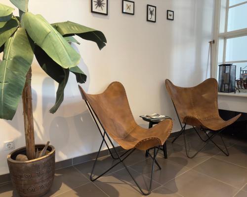 two chairs and a potted plant in a room at CENTER rooms in Miskolc