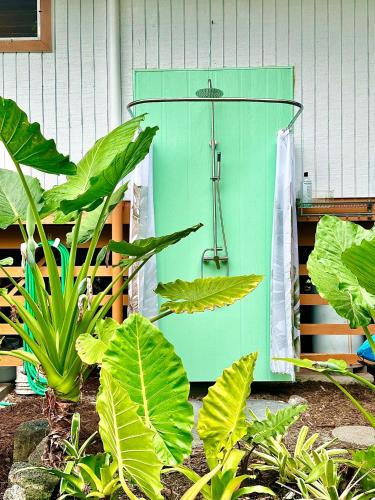 a green washing machine in a yard with plants at Puna Zen Botanical Garden Retreat in Keaau