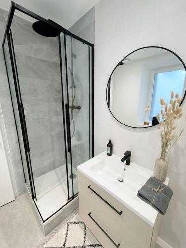 une salle de bain avec une douche, un lavabo et un miroir dans l'établissement Studio Vieille Ville - 300m du Lac, à Annecy