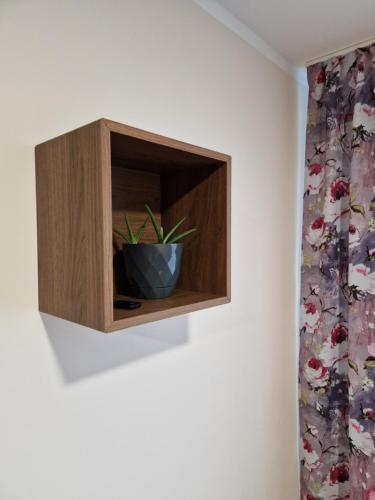 a cabinet with a plant in it on a wall at Cēsu Mājas Akmens ielā in Cēsis