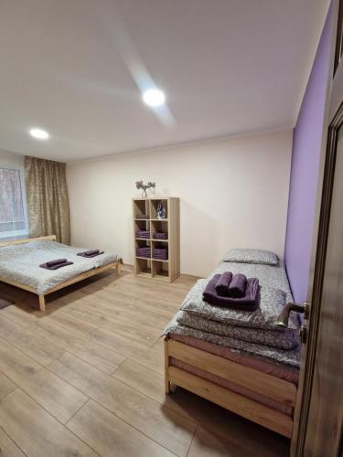 two beds in a room with purple walls and wooden floors at Cēsu Mājas Akmens ielā in Cēsis