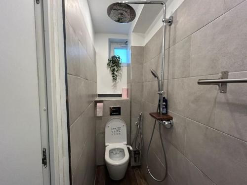 une petite salle de bain avec toilettes et douche dans l'établissement Paris 2Pièces 2 salles de bain, à Paris