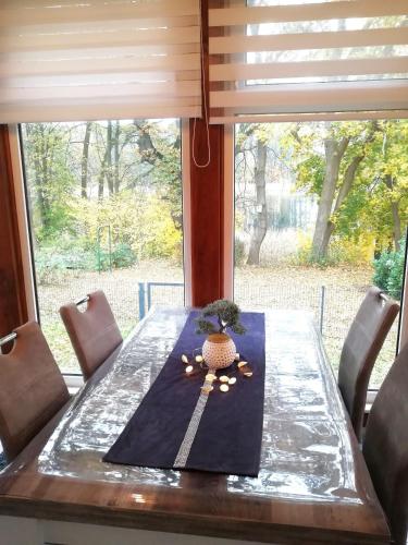 a table with a plant sitting on top of it at Schwandt-ein Bungalow mit Wasserblick, Ruderboot auf Anfrage in Rosenow