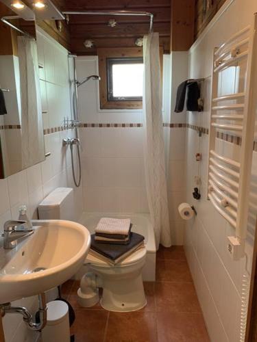 a bathroom with a toilet and a sink at Ferienhaus Schnuckenheide 13 in Winsen
