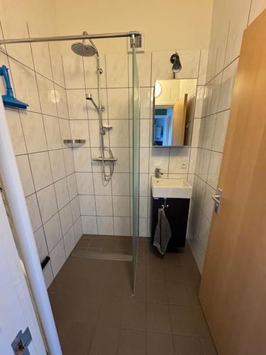 a bathroom with a shower and a sink at De Paer - Hof van Libeek in Sint Geertruid