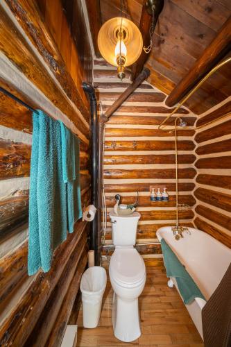 a bathroom with a toilet and a bath tub at Storm Mountain Lodge & Cabins in Banff