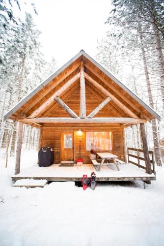 a cabin in the woods in the snow at Huttopia White Mountains in Albany