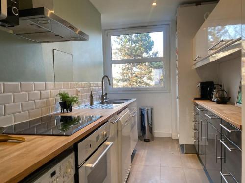 une grande cuisine avec un évier et une fenêtre dans l'établissement Au Milieu des Arbres, à Suresnes