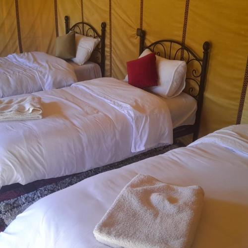 Ein Bett oder Betten in einem Zimmer der Unterkunft Luxury trek desert camp