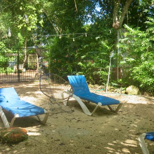 two blue chairs are sitting in the yard at Hostalito Lahar in Bacalar