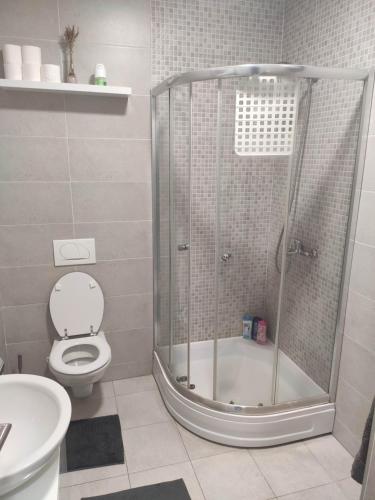 a bathroom with a shower with a toilet and a sink at Apartman Luka in Doboj