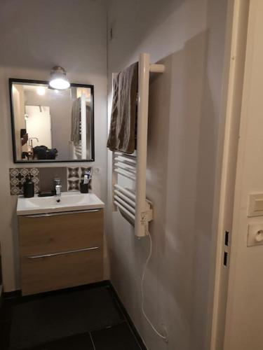 une salle de bain avec un lavabo et un miroir dans l'établissement Appartement 4 personnes à Arcachon, à Arcachon