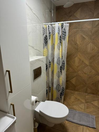 a bathroom with a toilet and a shower curtain at Dawna Mleczarnia Apartamenty SOSNOWY in Nowa Ruda