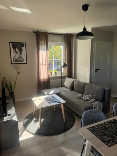 Gallery image of Apartament 9 Rydzyna in Rydzyna