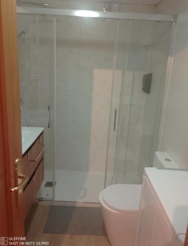 a white bathroom with a shower and a toilet at La Casita de Usaya in Ezcaray