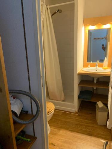 une salle de bain avec une douche, des toilettes et un lavabo dans l'établissement Appartement dans Résidence Bois de la Reine, Besse et Saint Anastaise, à Besse-et-Saint-Anastaise