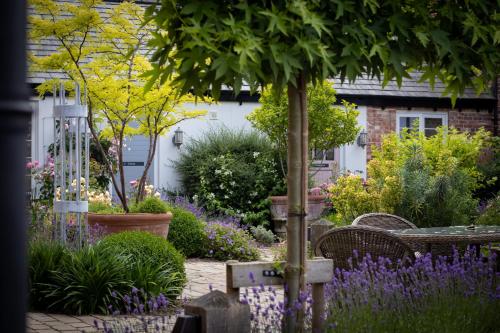 a garden in front of a house with purple flowers at The Lion at Malpas in Malpas