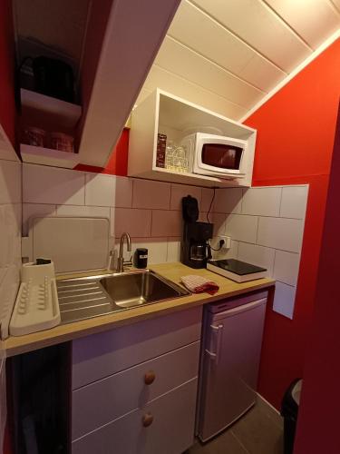 une petite cuisine avec un évier et un micro-ondes dans l'établissement Studette pour 1 ou 2 personnes, à Chaumont