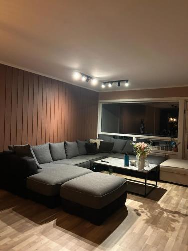Χώρος καθιστικού στο Charming 3-Bedroom 2-Floor Apartment for Rent in a Relaxing Neighborhood Close to 2025 Ski WC