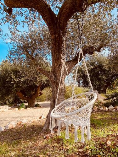 a white swinging chair sitting next to a tree at Dimora del Fragno in Castellana Grotte
