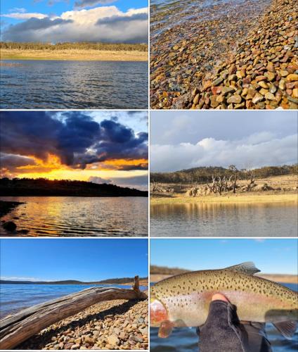 a series of four pictures with a fish in the water at San Michele Adaminaby in Adaminaby