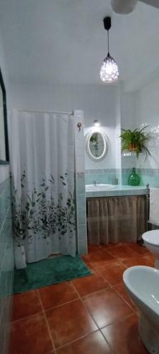 a bathroom with a shower and a sink and a tub at Cueva En El Geoparque de Granada in Bejarín
