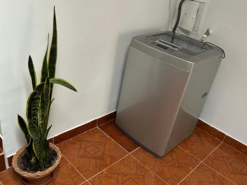 a potted plant sitting next to a small refrigerator at Apartamento Turístico Samay in Filandia