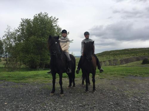 two people riding on horses in a field at Guesthouse Steinsholt in Steinsholt