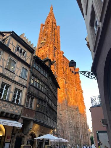Appartement carré or Strasbourg