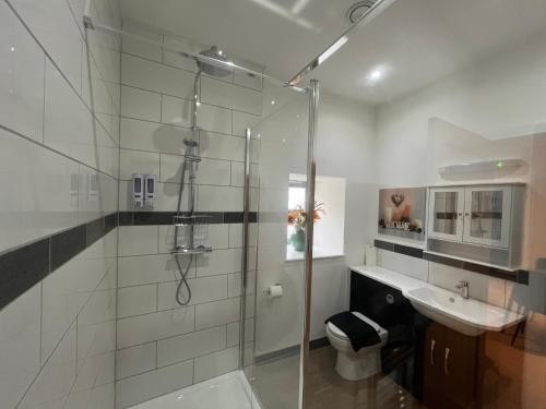 a bathroom with a shower and a toilet and a sink at Glastonbury Gem, 2 Bedroom Apartment in Glastonbury