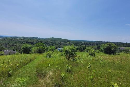 a field of green grass with trees in the background at Summer Getaway with Pool and Nearby Attractions in Cobourg