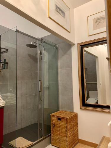 a bathroom with a shower with a mirror and a basket at Chambre d'hôte Bordeaux in Bordeaux