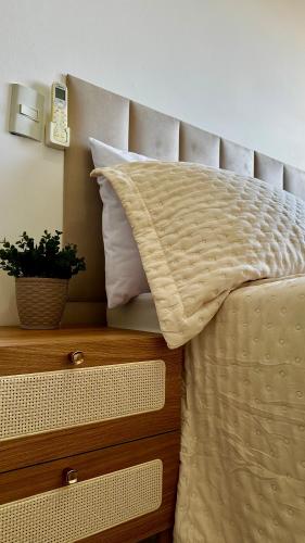 a bed with a pillow and a plant on it at Apt Araras - Próximo ao Shopping in Palmas