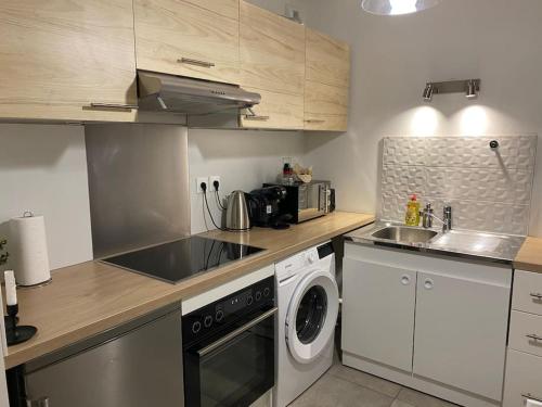 Il comprend une cuisine équipée d'un lave-linge, d'un évier et d'un lave-linge. dans l'établissement Petit studio cosy près du centre, à Strasbourg