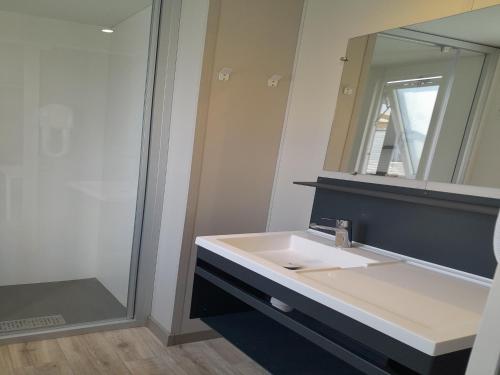 a bathroom with a white sink and a mirror at Charming Breebos Getaway in Rijkevorsel