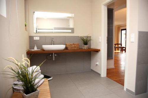 a bathroom with a sink and a mirror at Mueritz-Perfekt in Rechlin