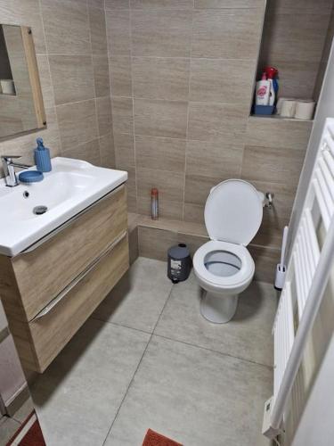 une petite salle de bain avec toilettes et lavabo dans l'établissement Lumineuse avec jardin, à Valenciennes