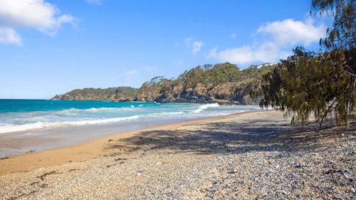 a beach with trees on the shore of the ocean at Azure - Luxe, Pool Beachfront in Kororo Basin