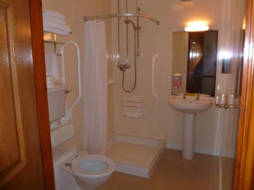 a bathroom with a shower and a toilet and a sink at Tafarn Y Rhos in Llangefni