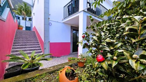 a house with plants in front of a building at Haus Seixal in Seixal