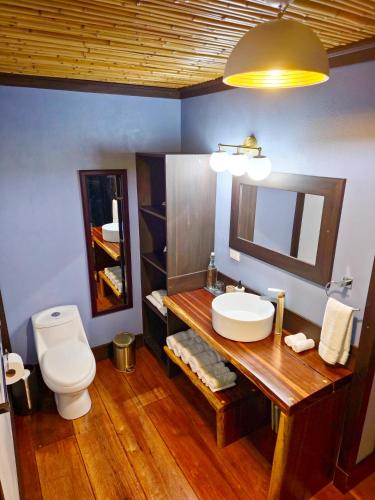 a bathroom with a sink and a toilet and a mirror at Secret Bungalows Lechu in Chachagua