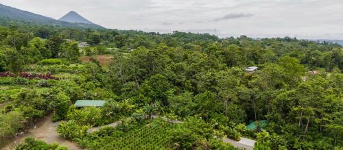 an aerial view of a forest with a pyramid in the background at Secret Bungalows Lechu in Chachagua