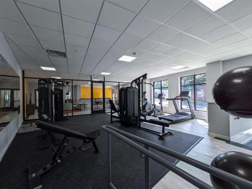 Das Fitnesscenter und/oder die Fitnesseinrichtungen in der Unterkunft 329 Modern 1BR Apt Walk to NJT
