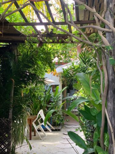 a garden with a pergola with chairs and plants at La Luna Boutique Dhangethi in Dhangethi