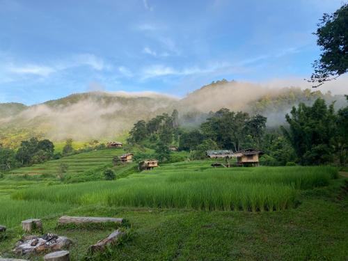 a green field with houses in the middle of a mountain at Pang Ma - O rice terrace นาขั้นบันไดบ้านปางมะโอ in Ban Pha Mon